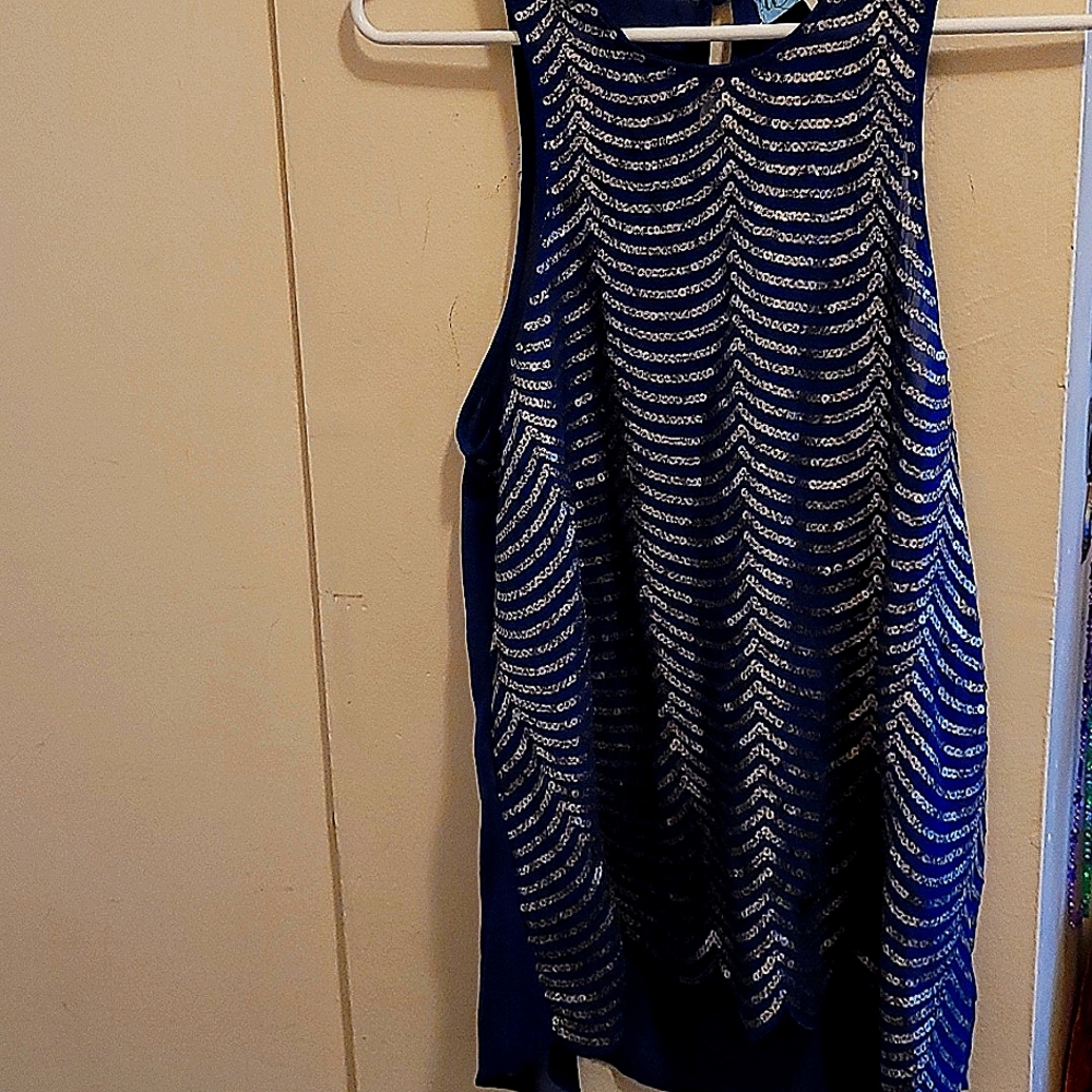Sliver and Blue Top Size L